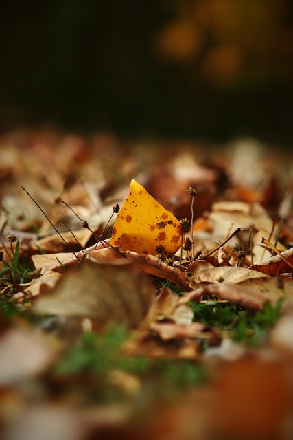 镰田大地：我预计玻利维亚会收缩防守，我们需要打出威胁进攻