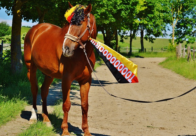 图片报：沃尔夫斯堡想挖凯尔，后者预计会在本轮联赛公开回应